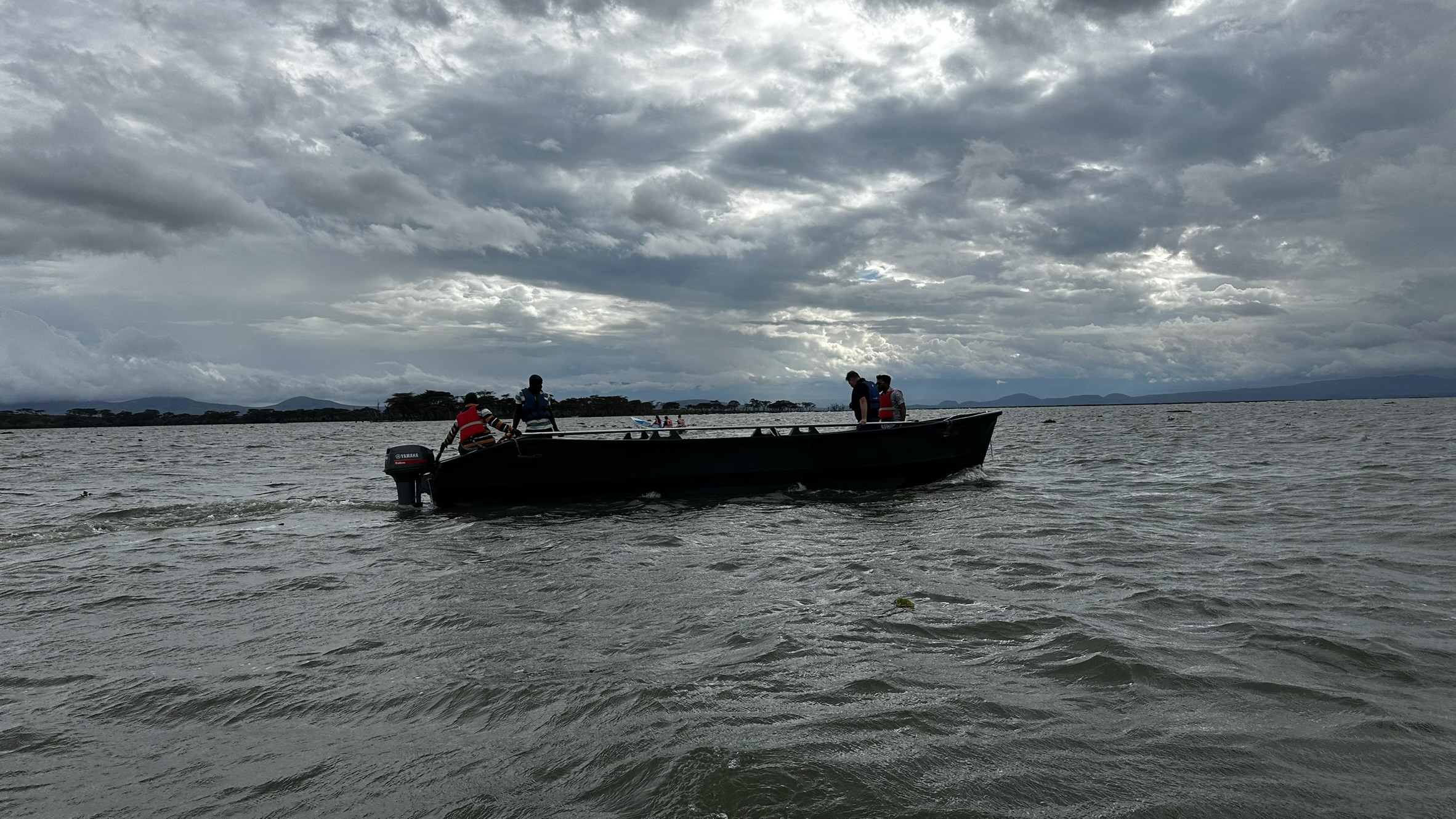 Sessy boat