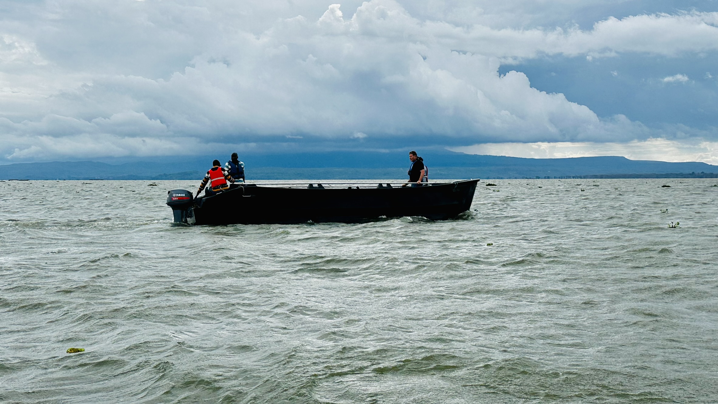 Sessy boat